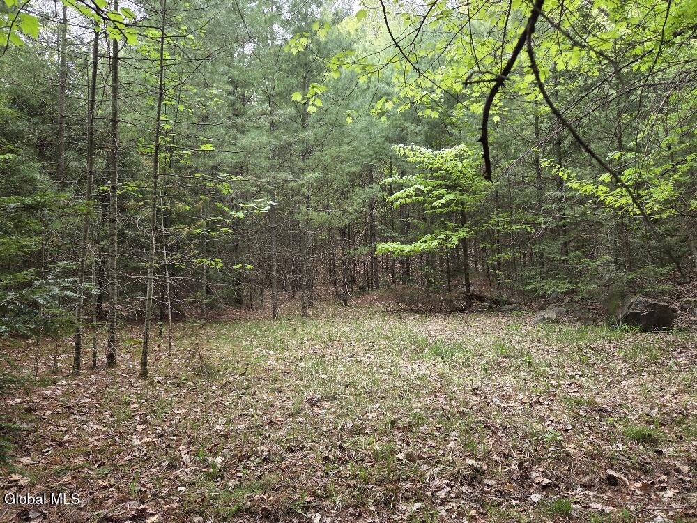 L2 & L3 Old Schroon Road Pottersville NY 12860