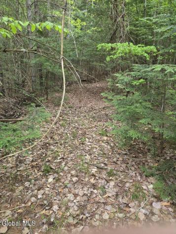 L2 & L3 Old Schroon Road Pottersville NY 12860