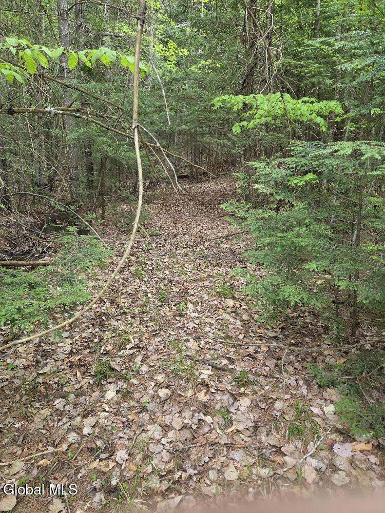 L2 & L3 Old Schroon Road Pottersville NY 12860
