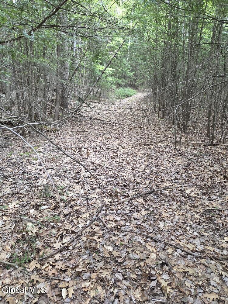 L2 & L3 Old Schroon Road Pottersville NY 12860