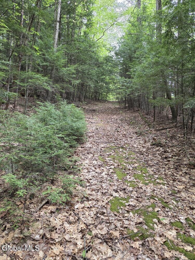 L2 & L3 Old Schroon Road Pottersville NY 12860