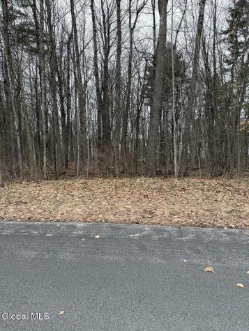 110 Trask Lane Stillwater NY 12170