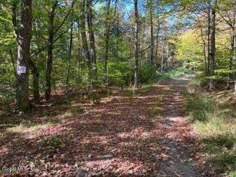 123 Wildwood Lane Middleburgh NY 12122