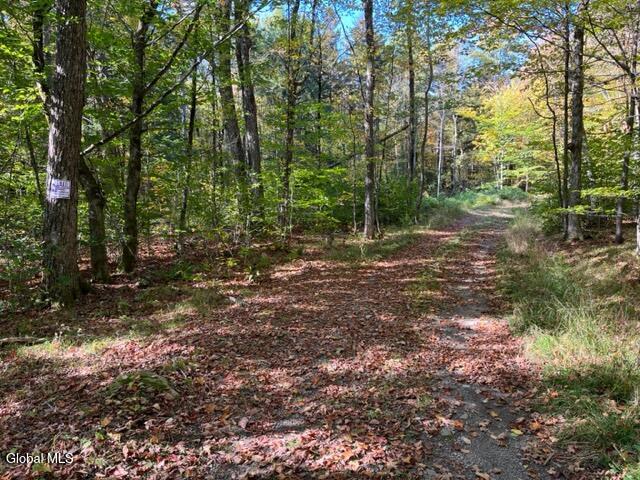 123 Wildwood Lane Middleburgh NY 12122