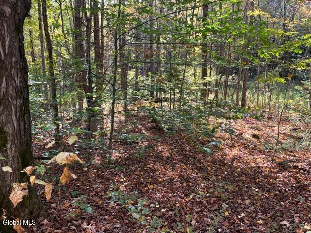 123 Wildwood Lane Middleburgh NY 12122