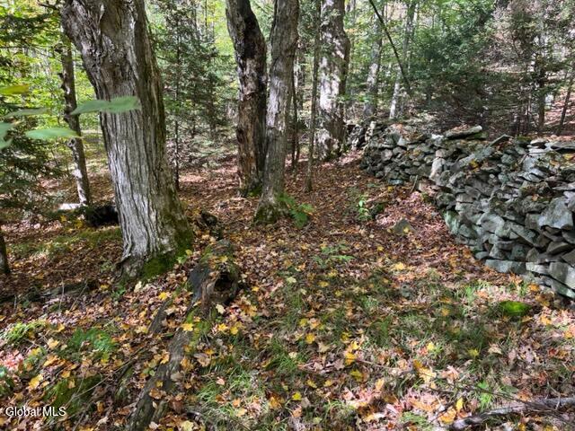 123 Wildwood Lane Middleburgh NY 12122