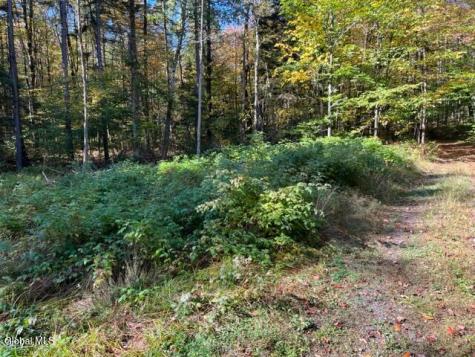 123 Wildwood Lane Middleburgh NY 12122