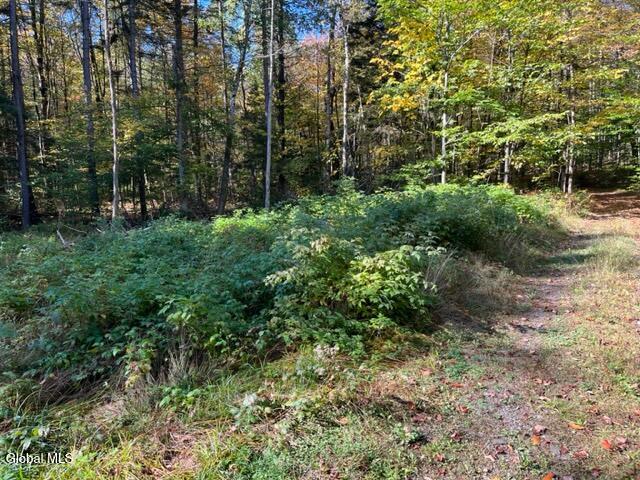 123 Wildwood Lane Middleburgh NY 12122