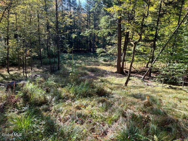 123 Wildwood Lane Middleburgh NY 12122