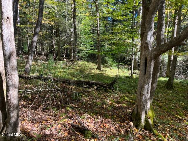 123 Wildwood Lane Middleburgh NY 12122