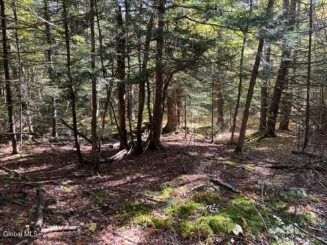 123 Wildwood Lane Middleburgh NY 12122