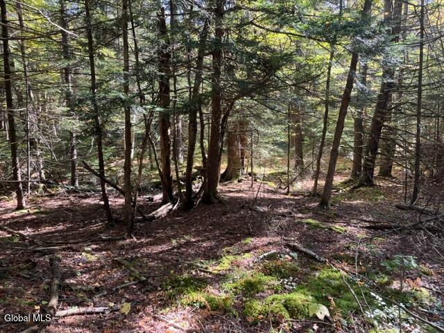 123 Wildwood Lane Middleburgh NY 12122