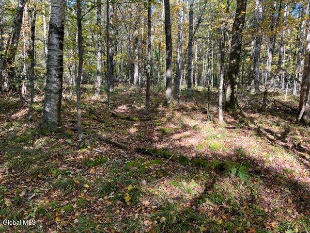 123 Wildwood Lane Middleburgh NY 12122