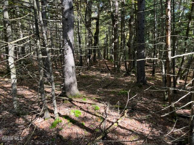 123 Wildwood Lane Middleburgh NY 12122