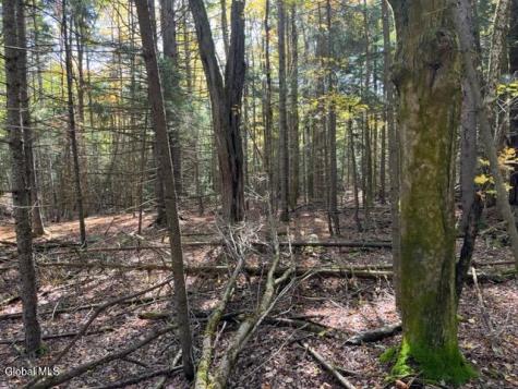 123 Wildwood Lane Middleburgh NY 12122