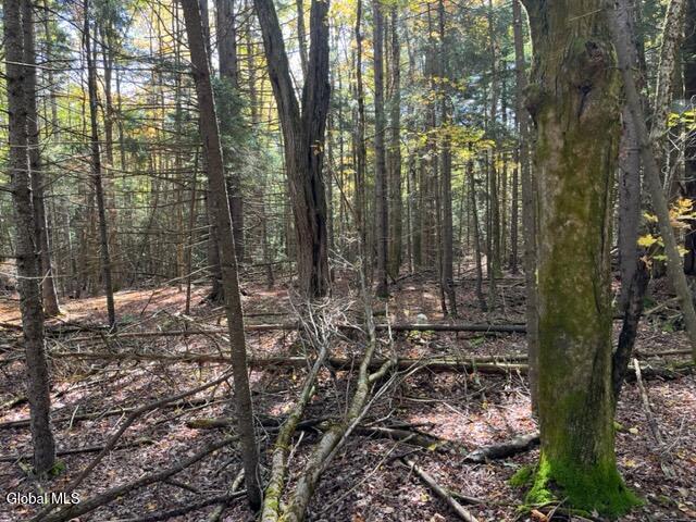 123 Wildwood Lane Middleburgh NY 12122