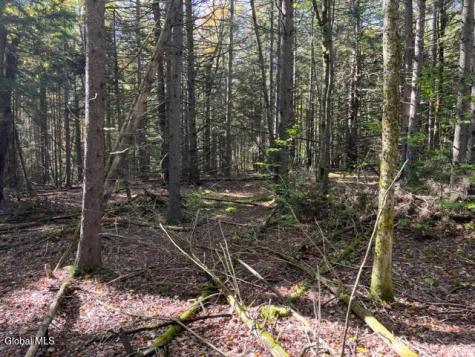 123 Wildwood Lane Middleburgh NY 12122