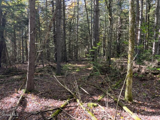 123 Wildwood Lane Middleburgh NY 12122