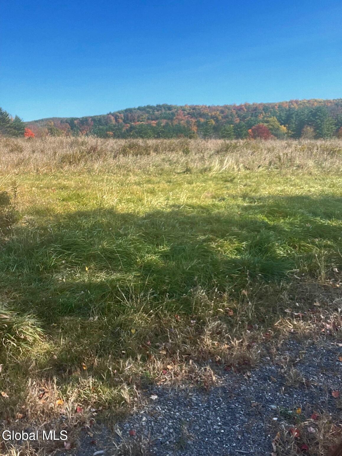 124 Thorne Road Old Chatham NY 12136