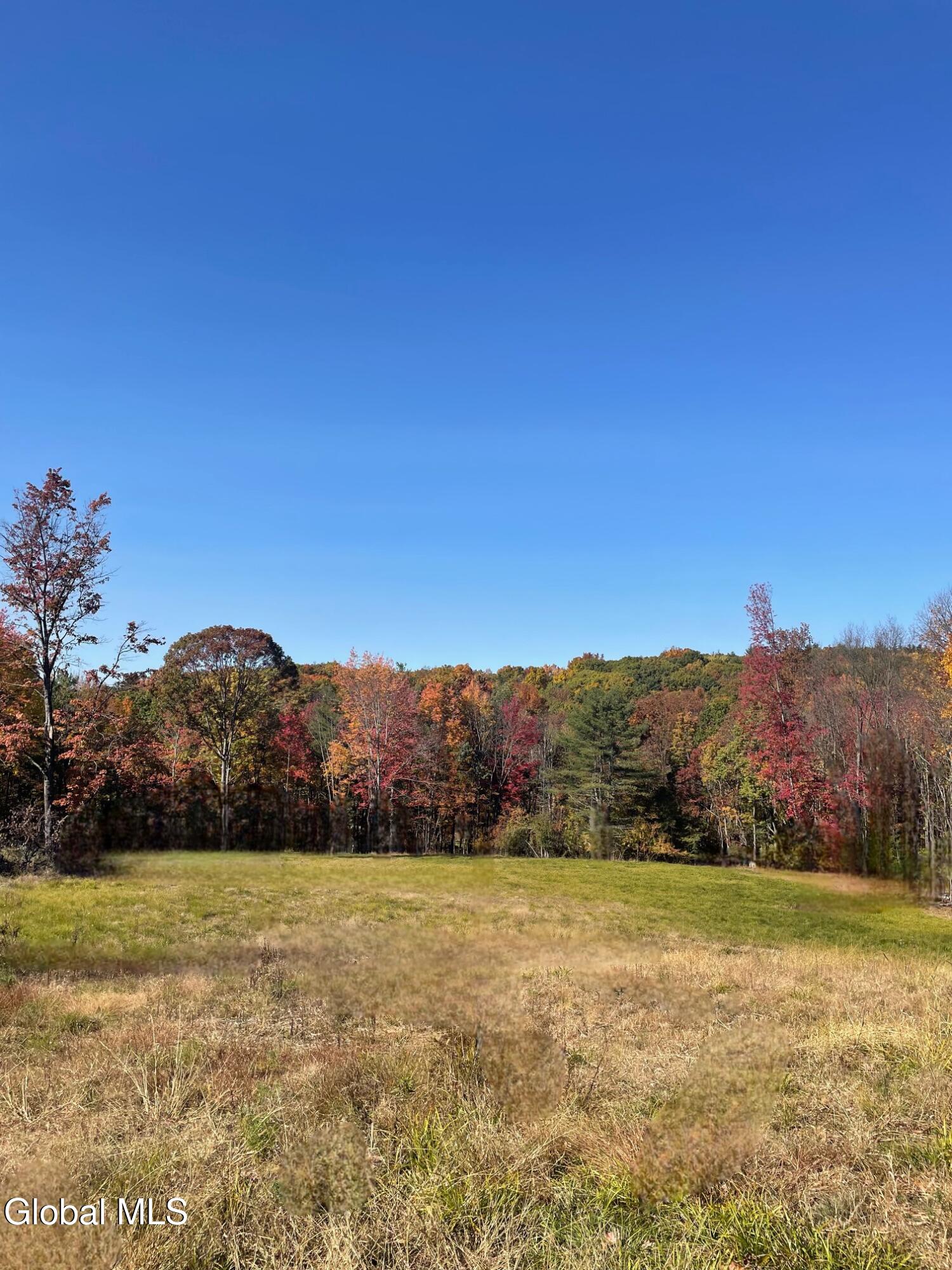 124 Thorne Road Old Chatham NY 12136