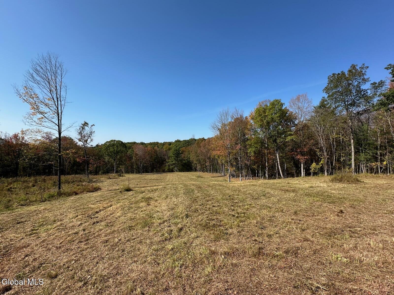 124 Thorne Road Old Chatham NY 12136