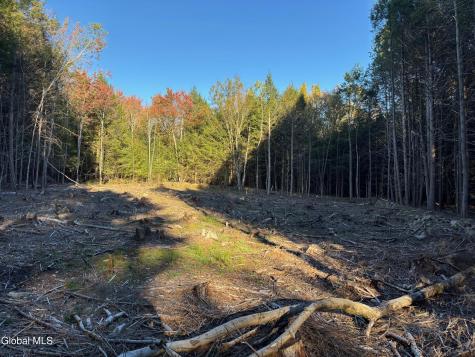 L1.112 Kipple Road Sand Lake NY 12153