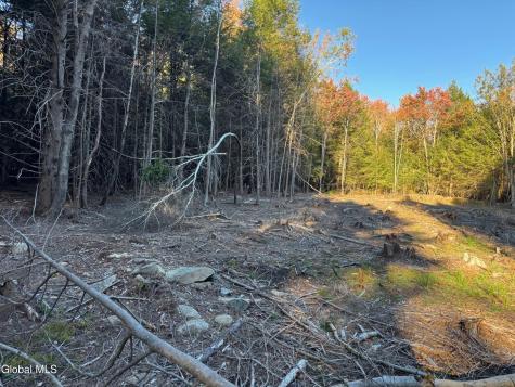 L1.112 Kipple Road Sand Lake NY 12153
