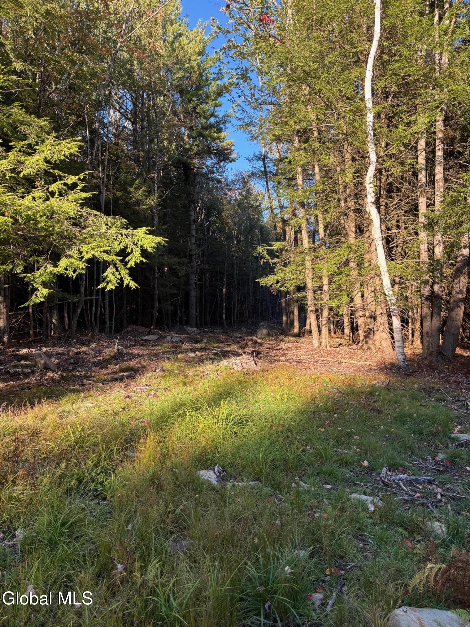 L1.112 Kipple Road Sand Lake NY 12153