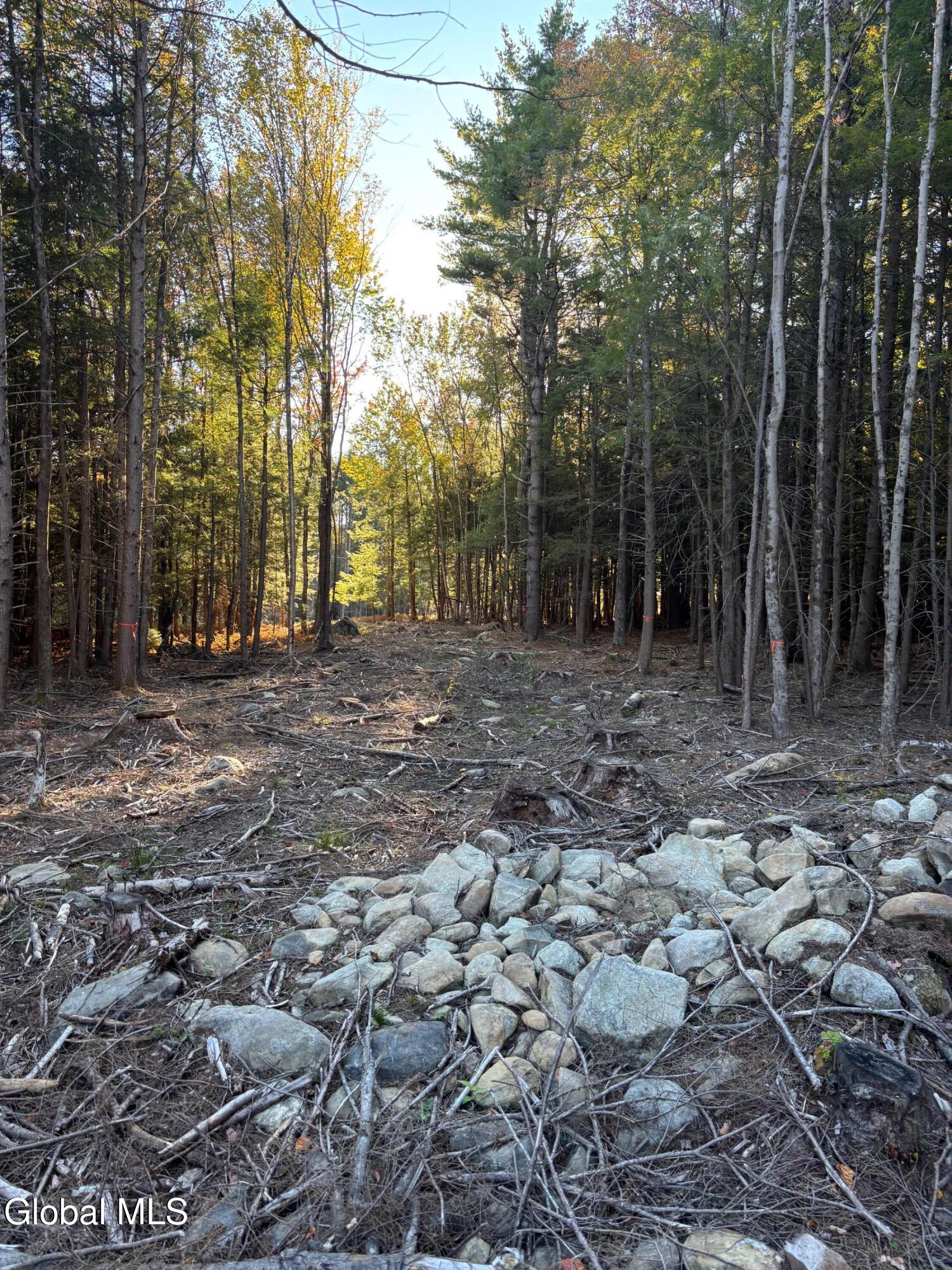 L1.112 Kipple Road Sand Lake NY 12153