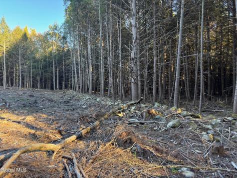 L1.112 Kipple Road Sand Lake NY 12153