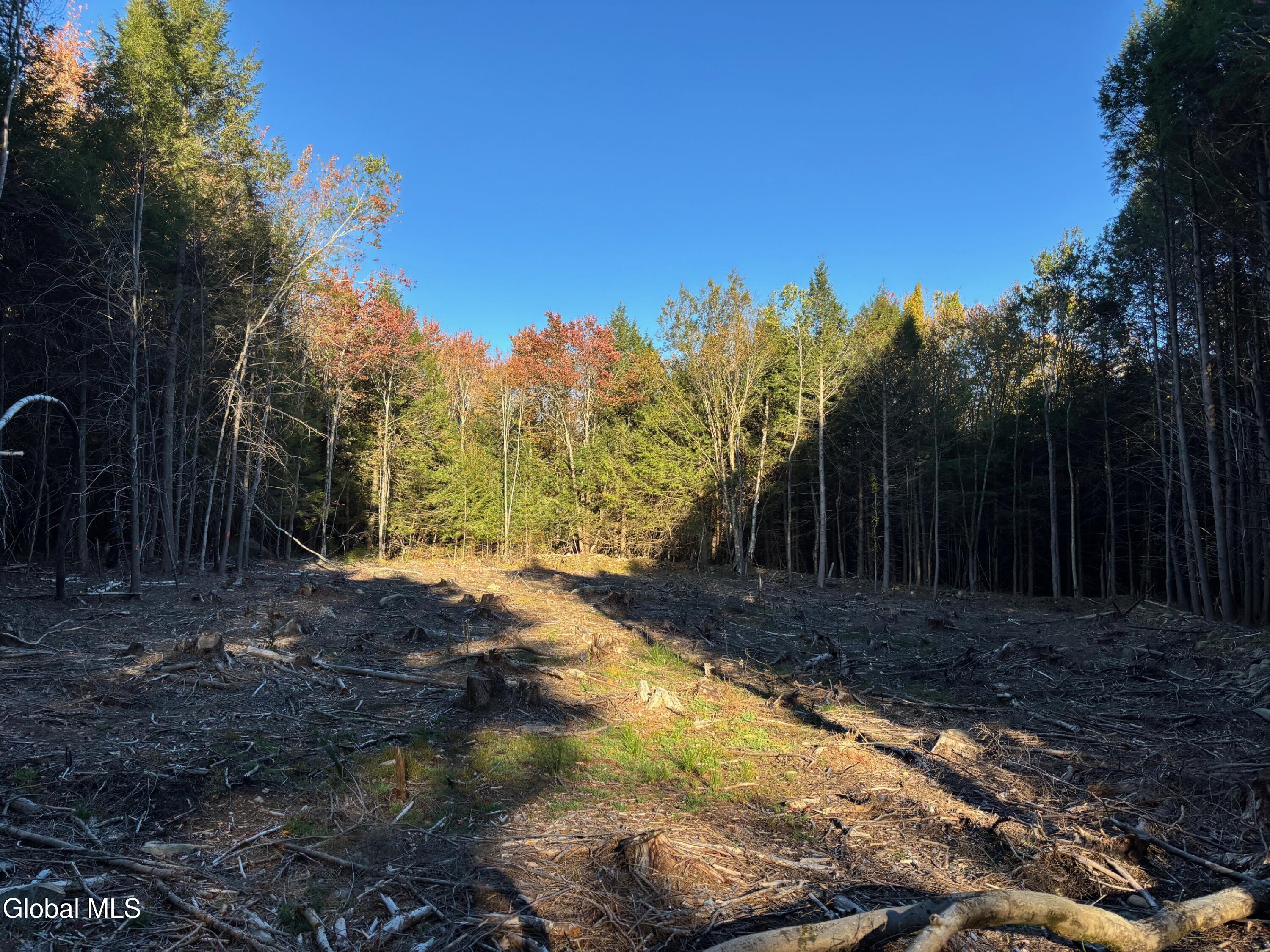 L1.112 Kipple Road Sand Lake NY 12153