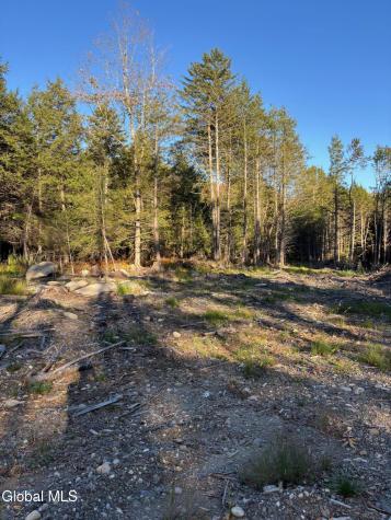 L1.112 Kipple Road Sand Lake NY 12153