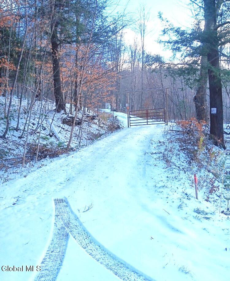 575 Hollenbeck Road Worcester NY 12197