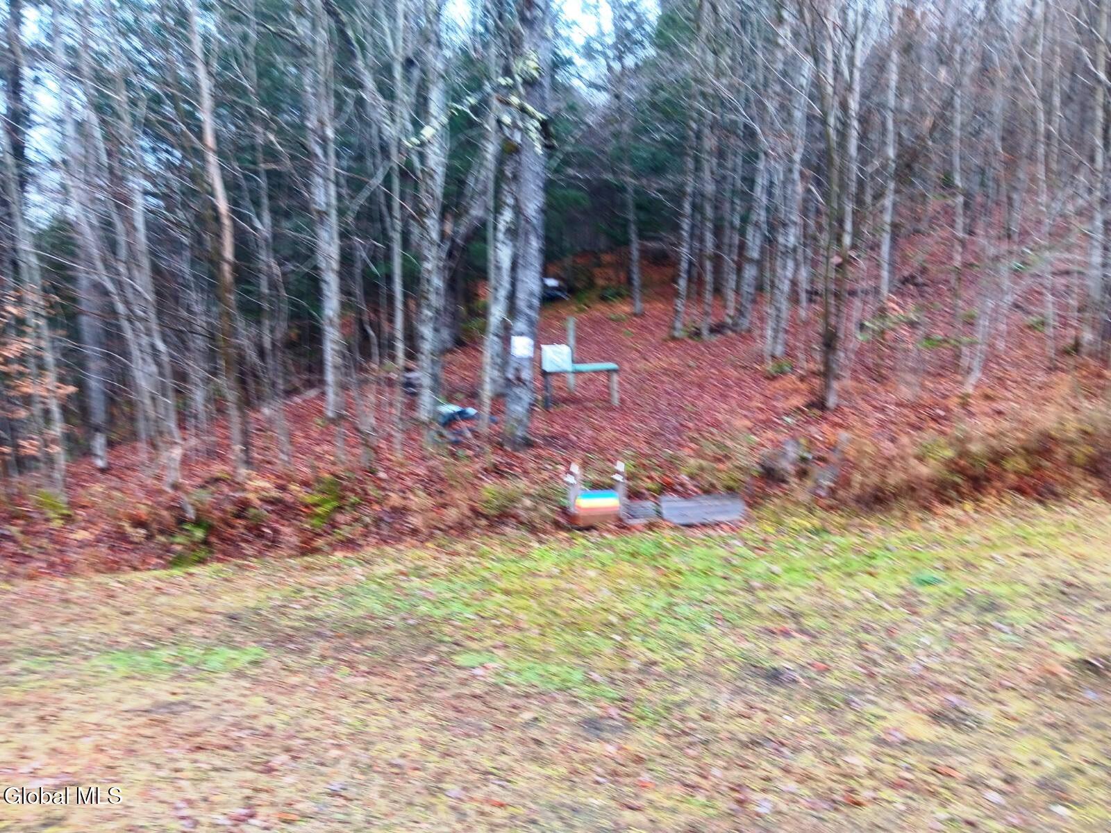 575 Hollenbeck Road Worcester NY 12197