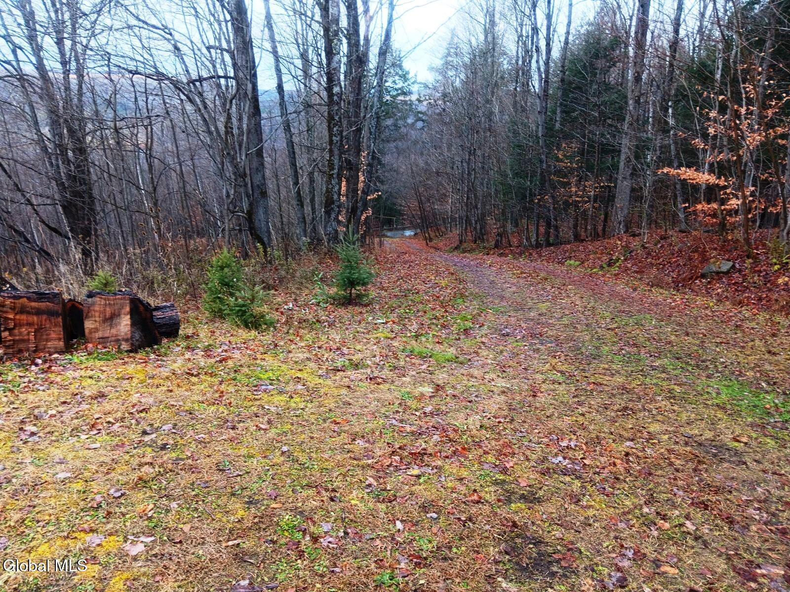 575 Hollenbeck Road Worcester NY 12197