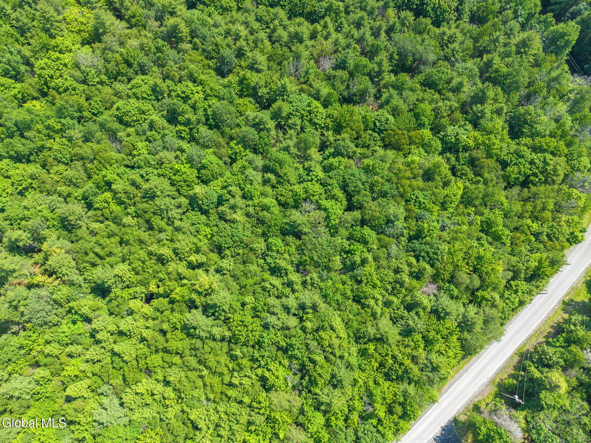 L3 Bridge Road Berne NY 12023