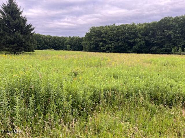 184 Beechwood Road Sharon Springs NY 13459