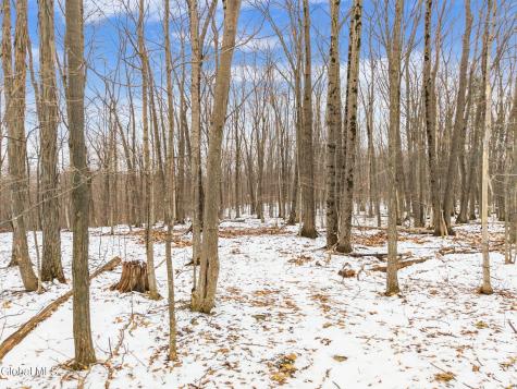 184 Beechwood Road Sharon Springs NY 13459