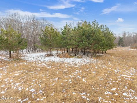 184 Beechwood Road Sharon Springs NY 13459