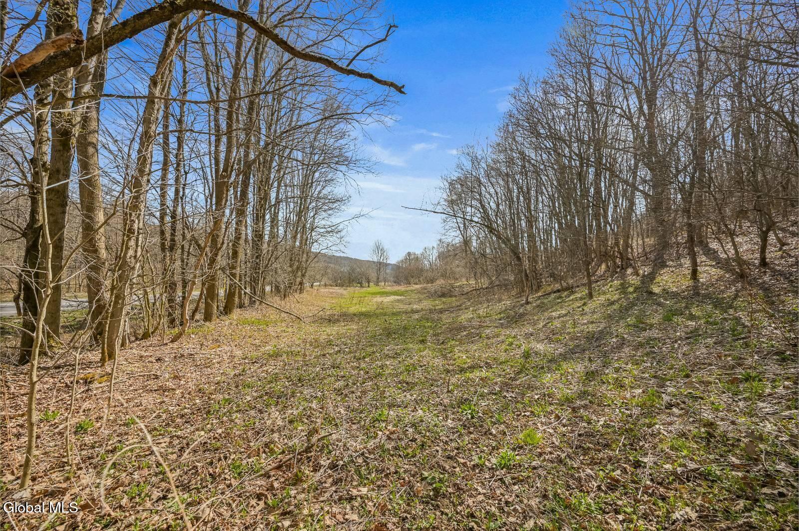 L9.112 Lutheranville Road East Worcester NY 12175