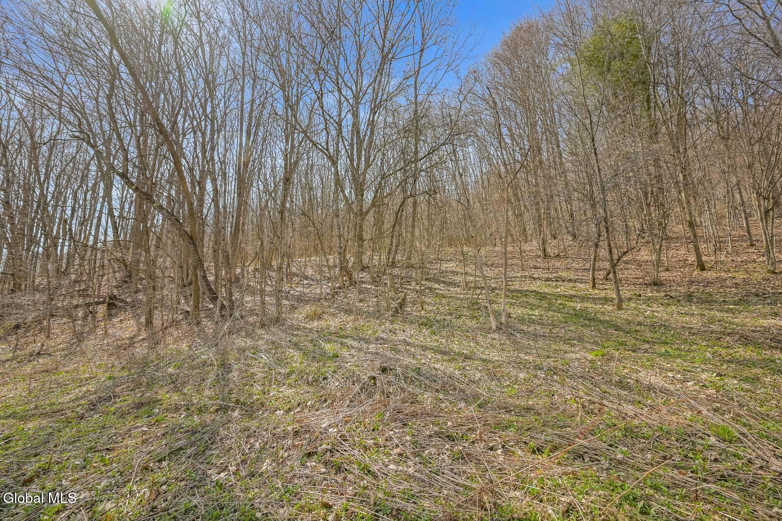L9.112 Lutheranville Road East Worcester NY 12175