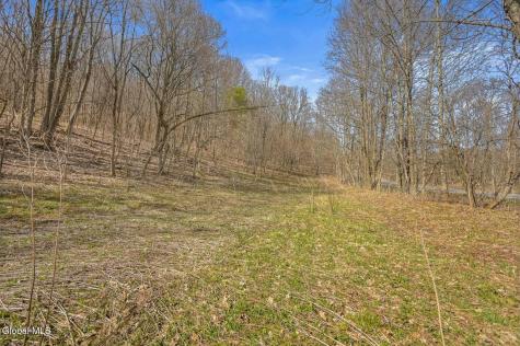 L9.112 Lutheranville Road East Worcester NY 12175