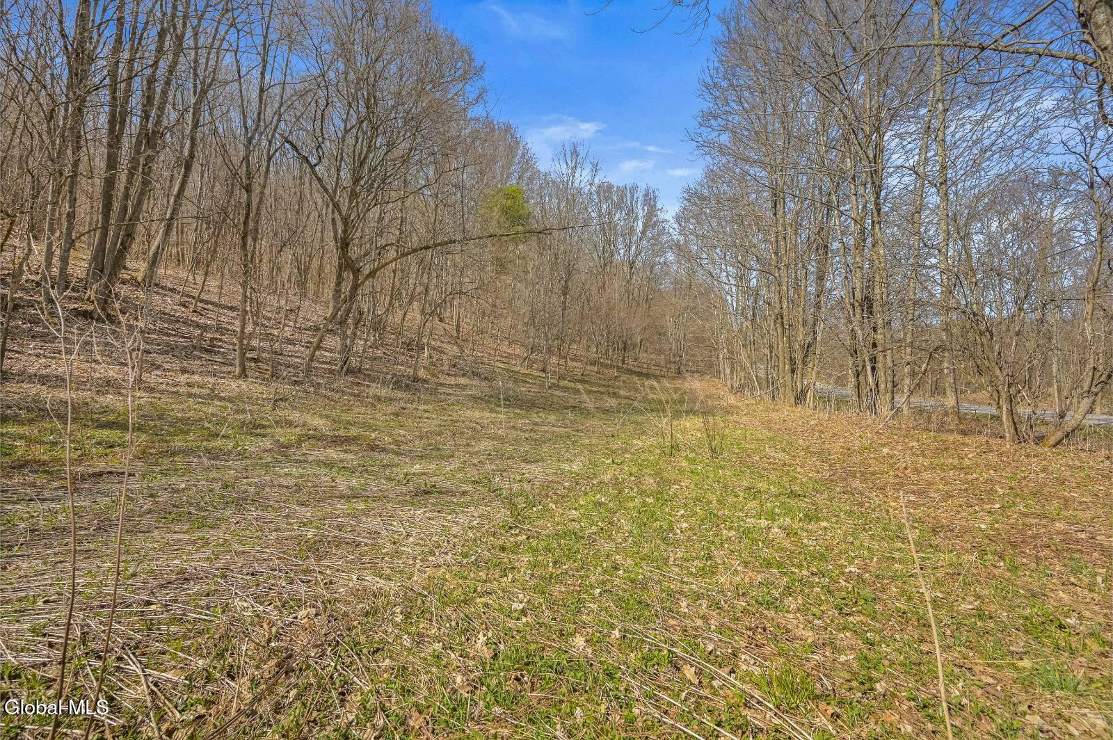 L9.112 Lutheranville Road East Worcester NY 12175