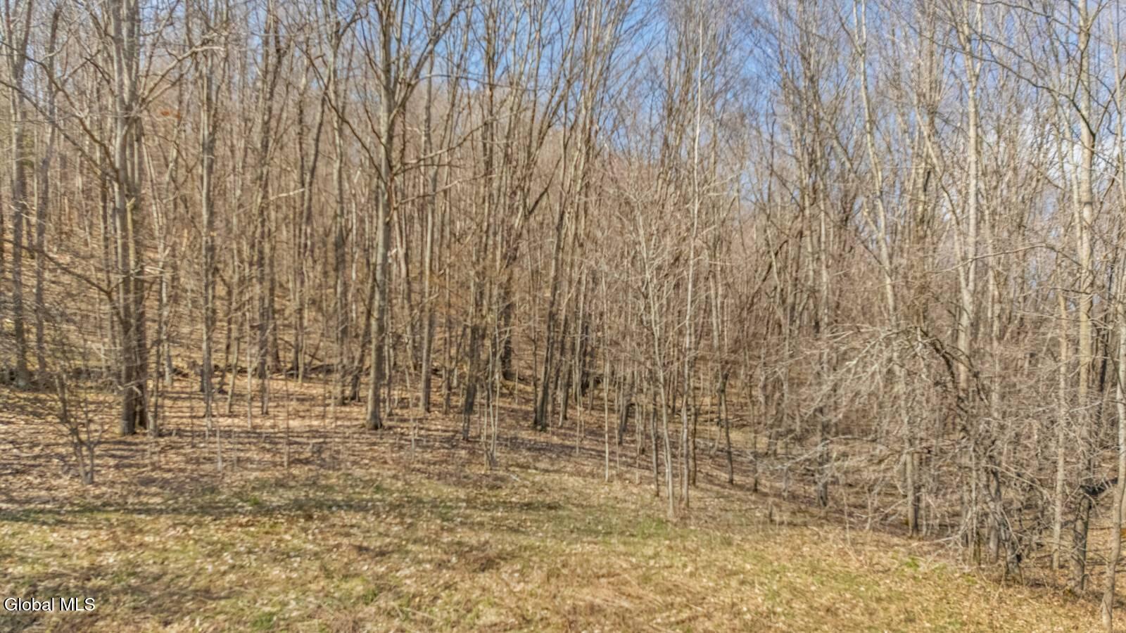 L9.112 Lutheranville Road East Worcester NY 12175