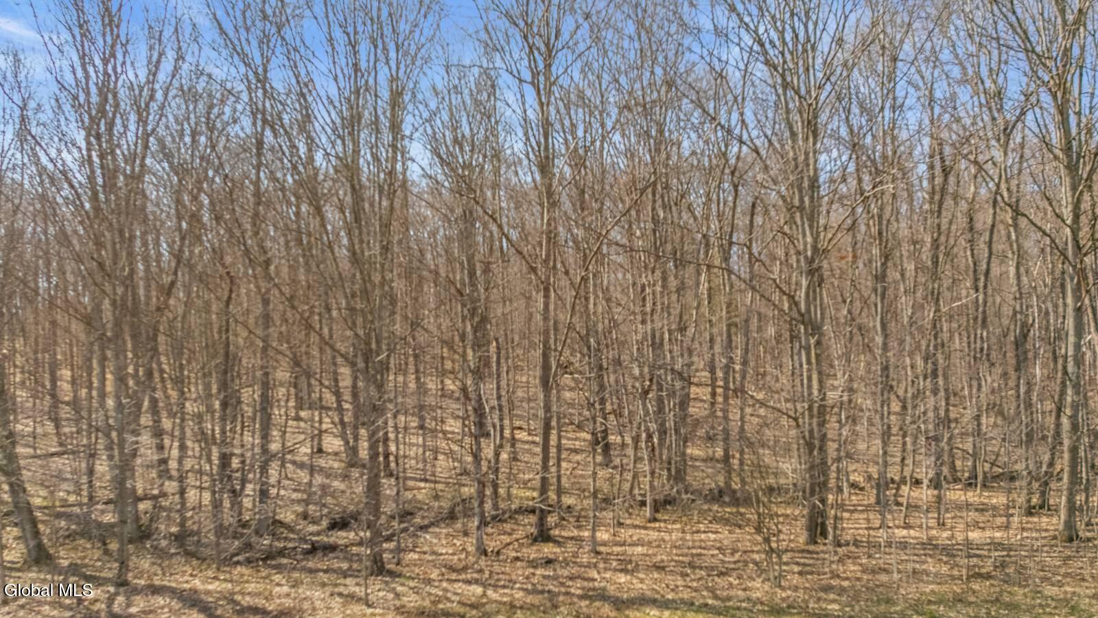 L9.112 Lutheranville Road East Worcester NY 12175