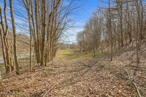 L9.112 Lutheranville Road East Worcester NY 12175
