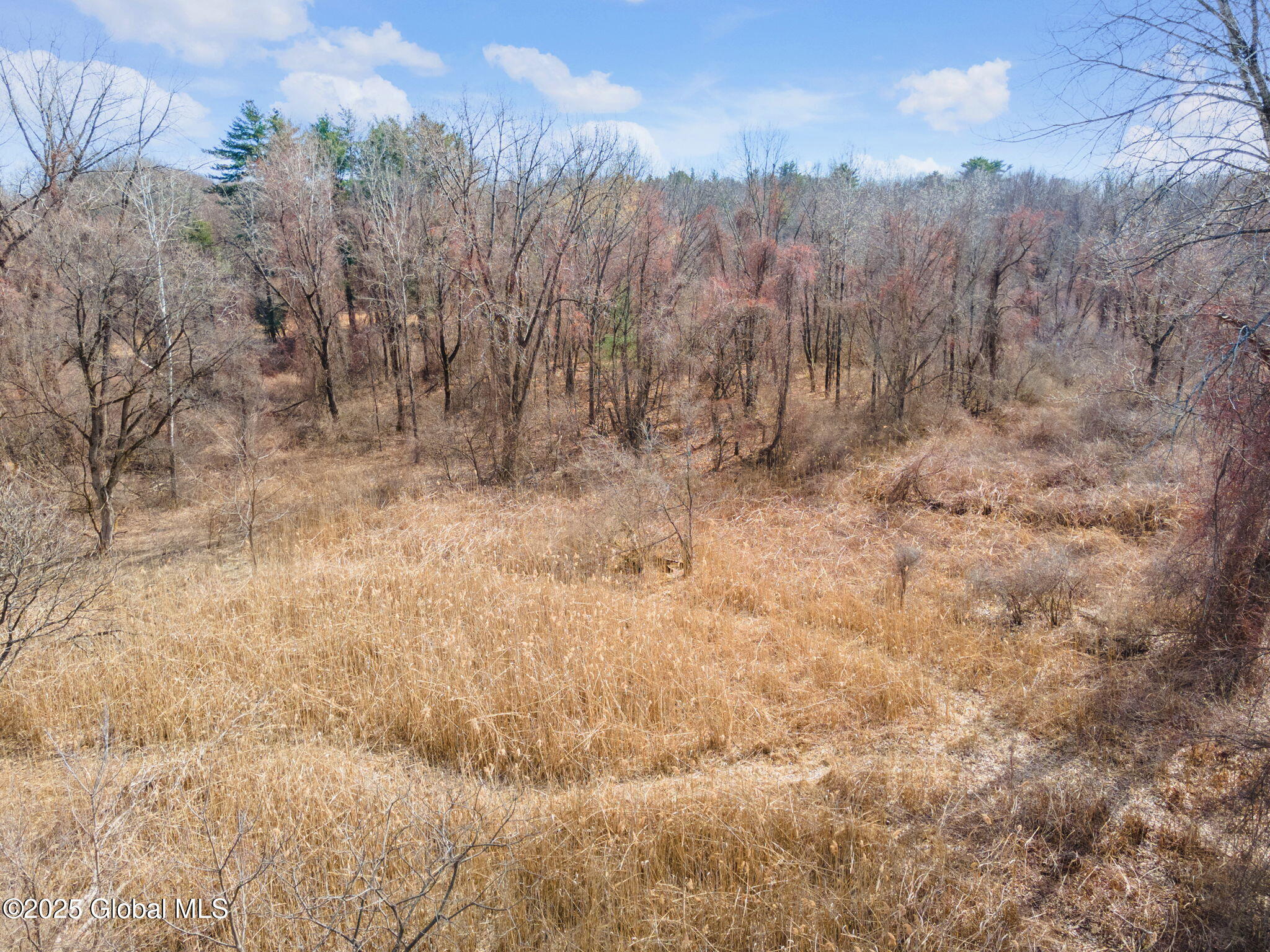 230a Old Niskayuna Road Latham NY 12110