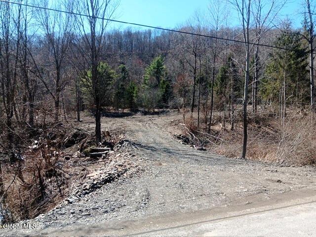 708 Smokey Avenue Schenevus NY 12155