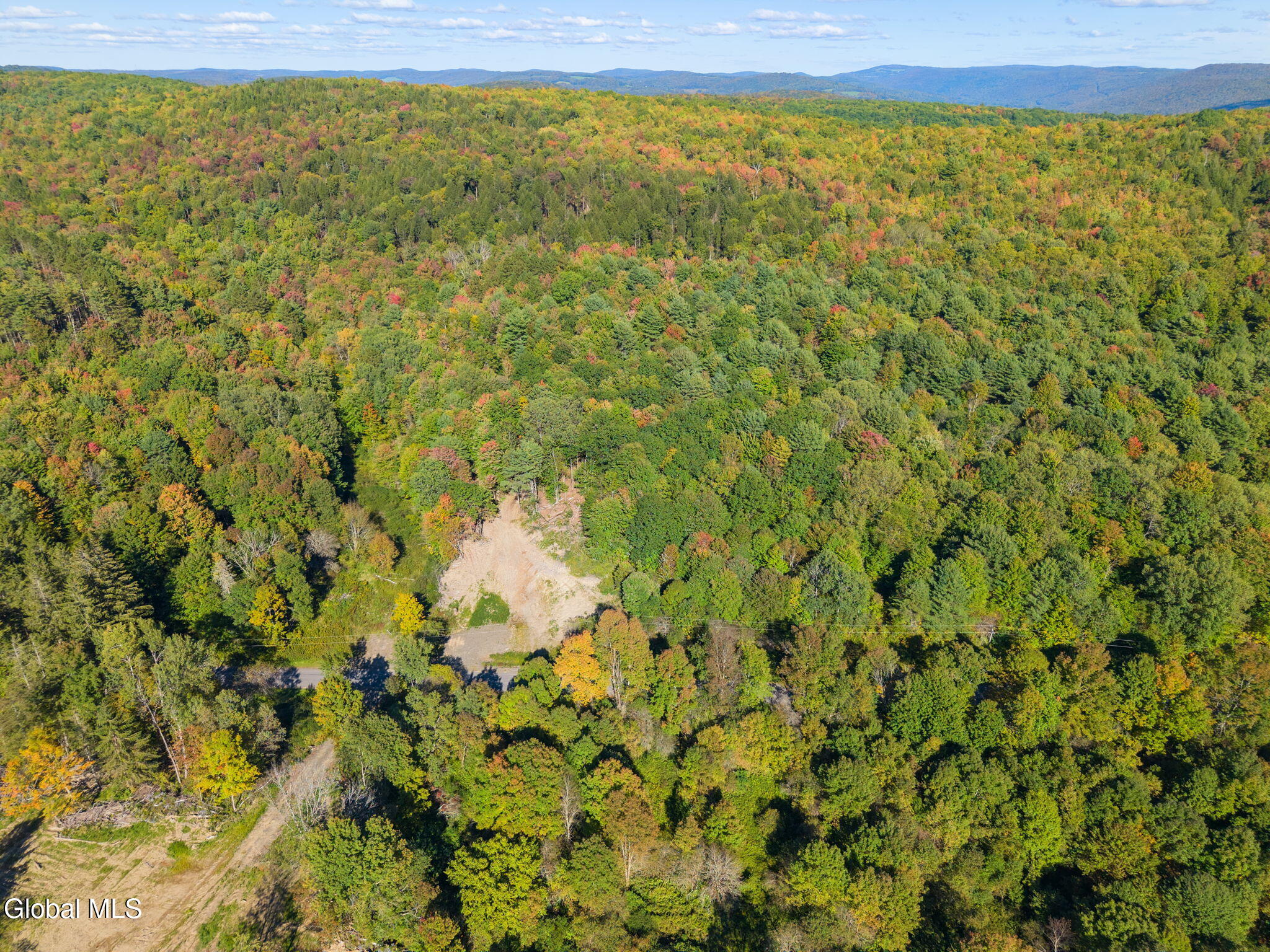 708 Smokey Avenue Schenevus NY 12155