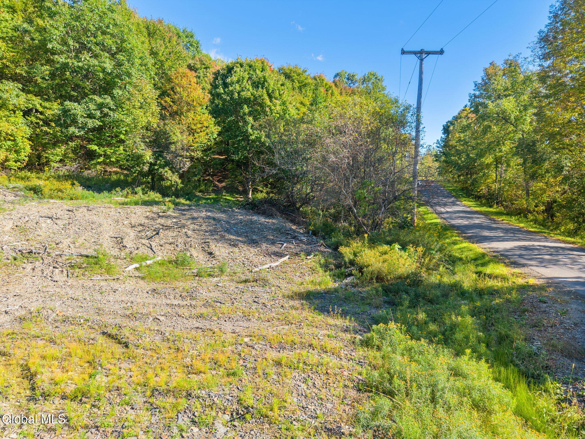 708 Smokey Avenue Schenevus NY 12155